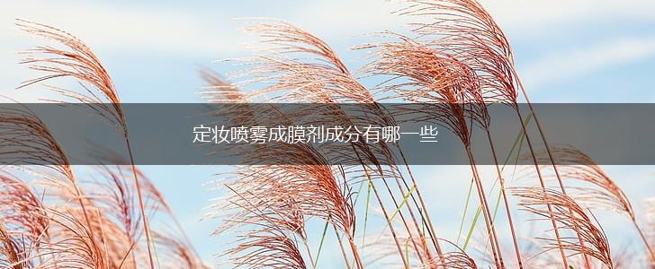 定妆喷雾成膜剂成分有哪一些,第1张