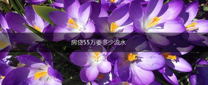 房贷55万要多少流水,第1张