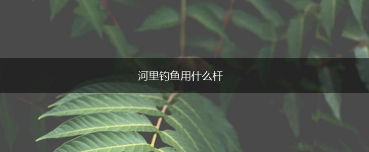 河里钓鱼用什么杆,第1张