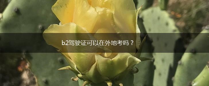b2驾驶证可以在外地考吗？,第1张