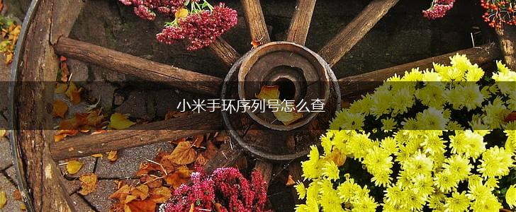 小米手环序列号怎么查,第1张