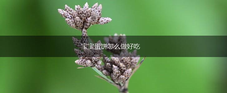 宝宝蛋饼怎么做好吃,第1张