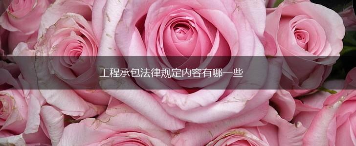 工程承包法律规定内容有哪一些,第1张