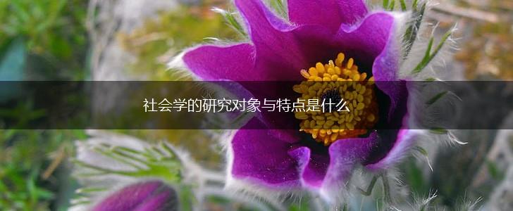 社会学的研究对象与特点是什么,第1张