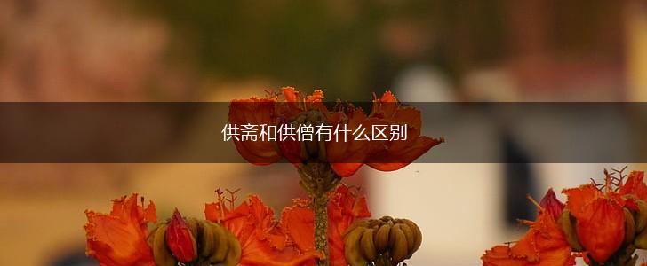 供斋和供僧有什么区别,第1张
