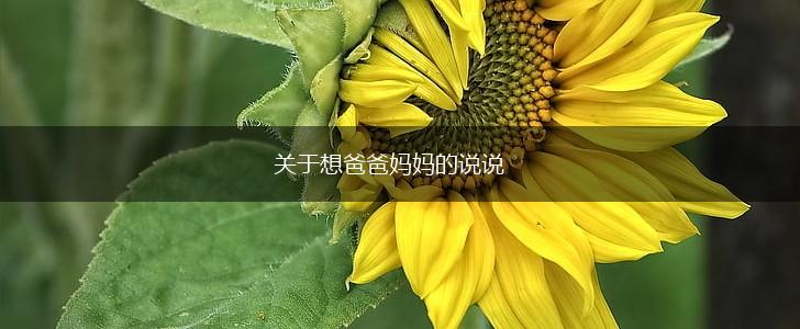 关于想爸爸妈妈的说说,第1张