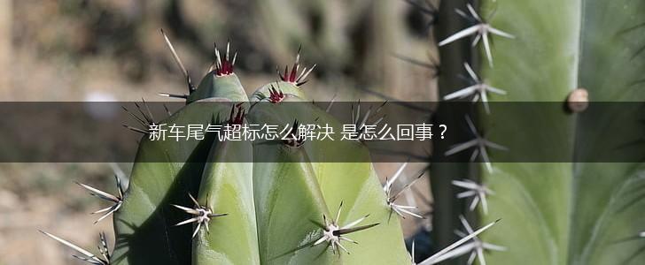 新车尾气超标怎么解决 是怎么回事？,第1张