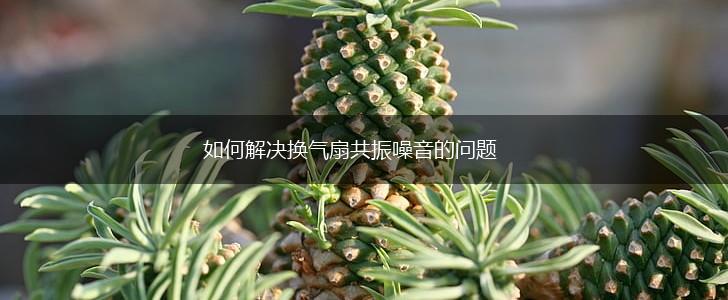 如何解决换气扇共振噪音的问题,第1张