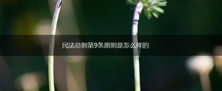 民法总则第9条原则是怎么样的,第1张
