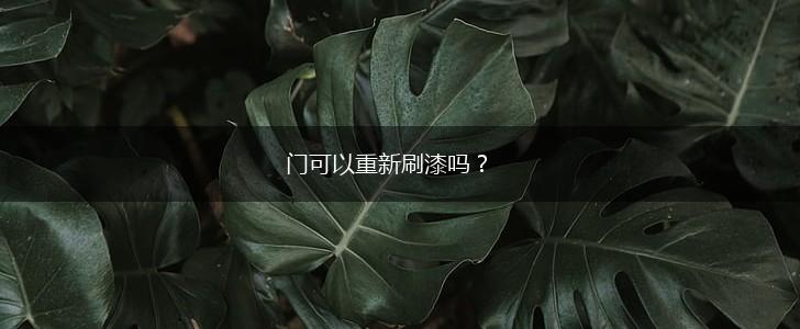 门可以重新刷漆吗？,第1张