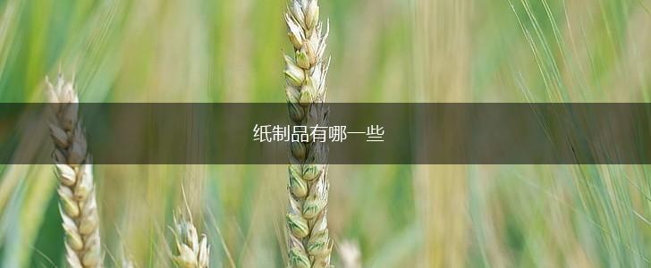 纸制品有哪一些,第1张