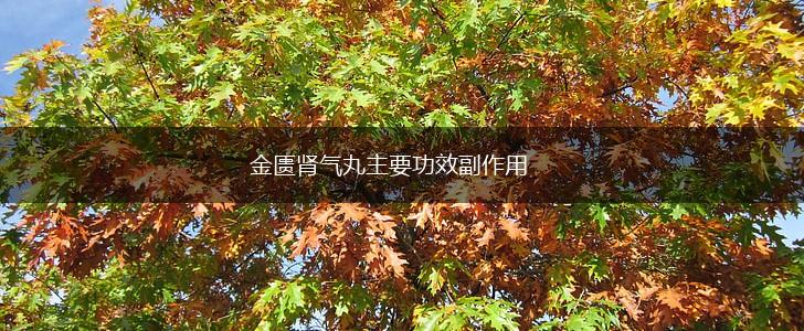 金匮肾气丸主要功效副作用,第1张