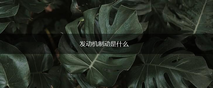 发动机制动是什么,第1张