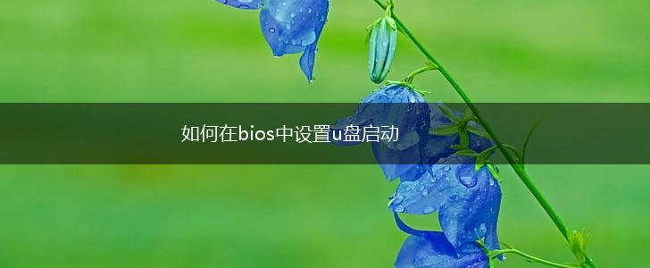 如何在bios中设置u盘启动,第1张
