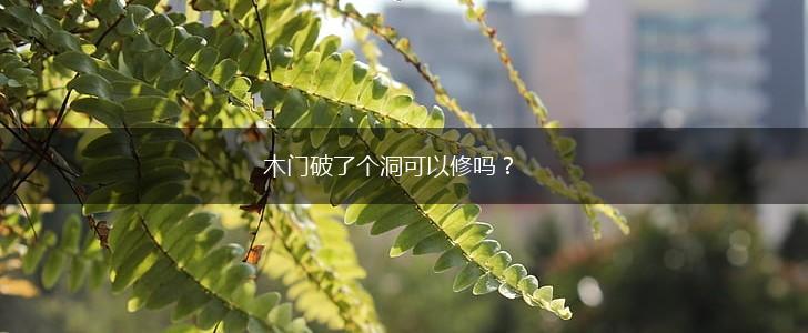 木门破了个洞可以修吗？,第1张