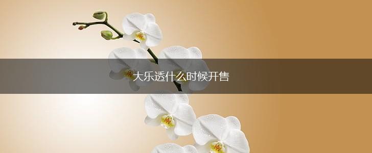 大乐透什么时候开售,第1张