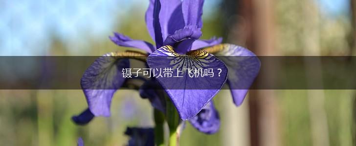 镊子可以带上飞机吗？,第1张