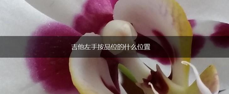 吉他左手按品位的什么位置,第1张