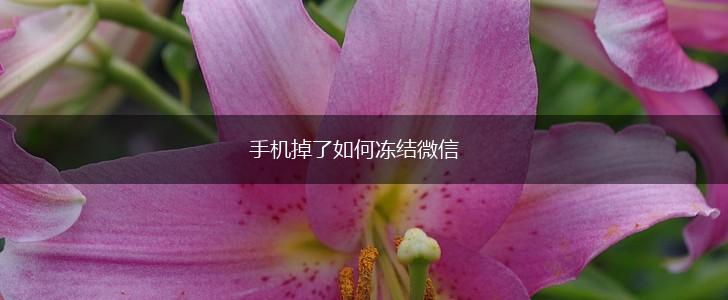 手机掉了如何冻结微信,第1张