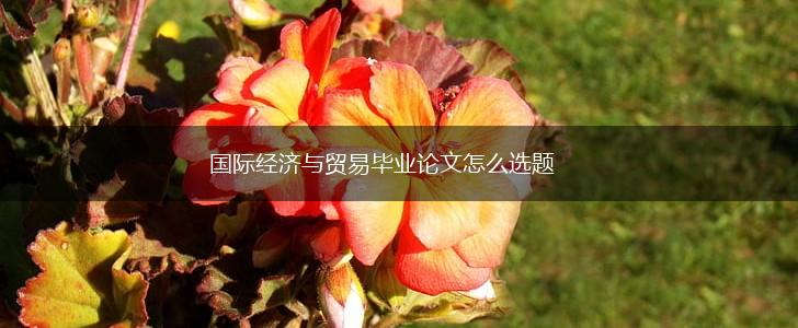 国际经济与贸易毕业论文怎么选题,第1张