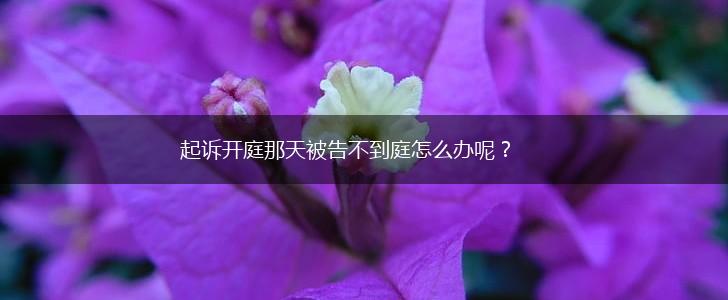 起诉开庭那天被告不到庭怎么办呢？,第1张