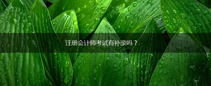 注册会计师考试有补录吗？,第1张
