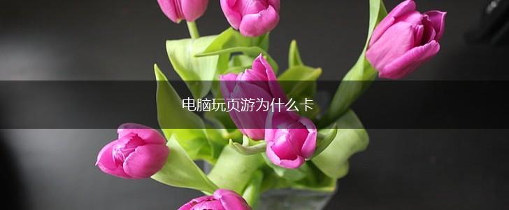 电脑玩页游为什么卡,第1张