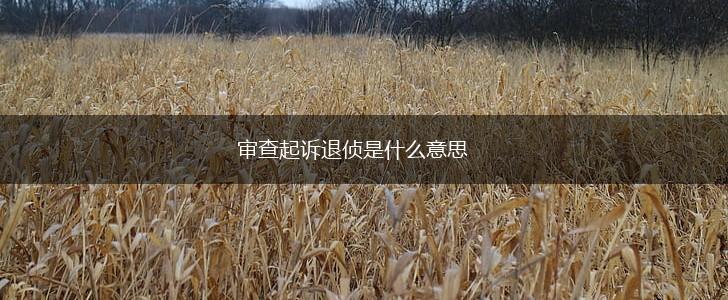 审查起诉退侦是什么意思,第1张