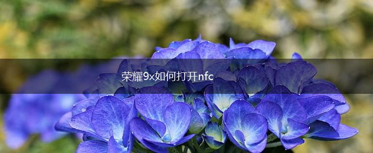 荣耀9x如何打开nfc,第1张