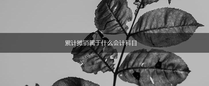 累计摊销属于什么会计科目,第1张