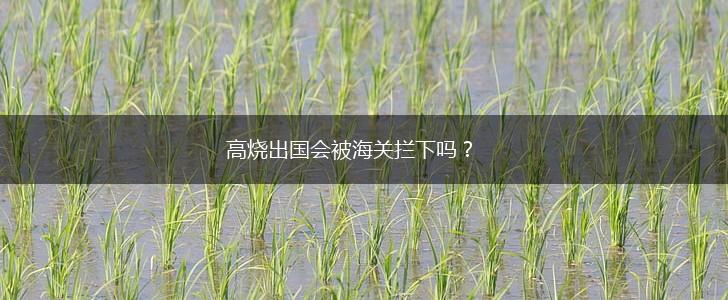 高烧出国会被海关拦下吗？,第1张