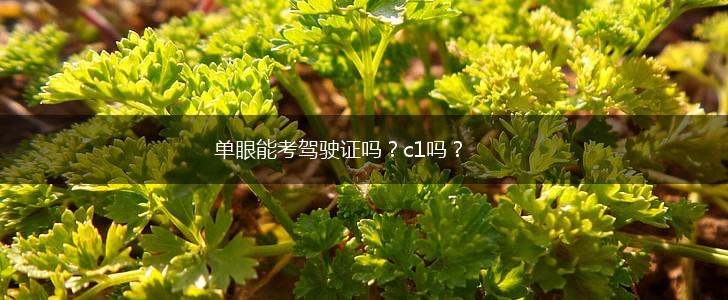单眼能考驾驶证吗？c1吗？,第1张