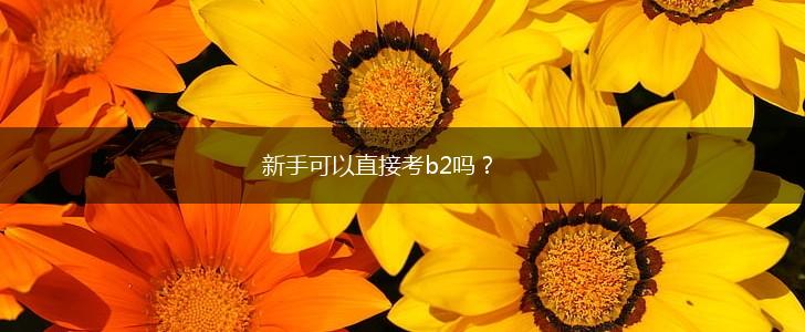 新手可以直接考b2吗？,第1张