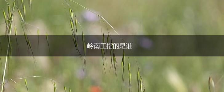 岭南王指的是谁,第1张