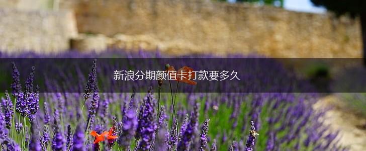 新浪分期颜值卡打款要多久,第1张