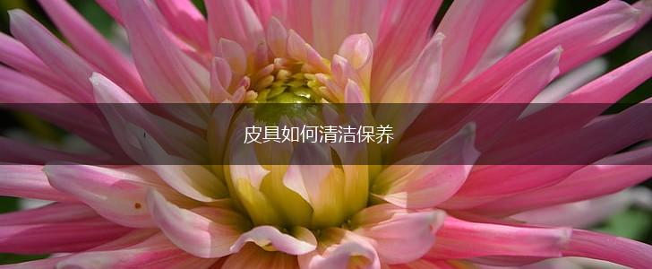 皮具如何清洁保养,第1张
