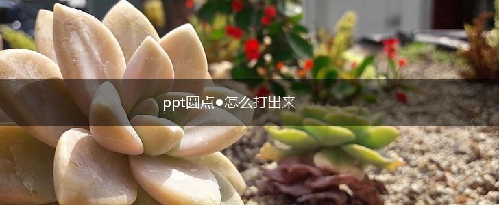 ppt圆点●怎么打出来,第1张