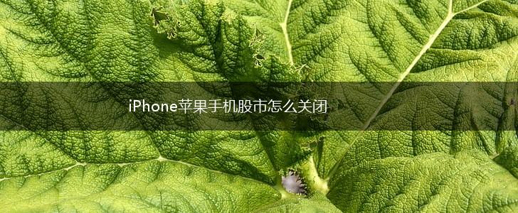 iPhone苹果手机股市怎么关闭,第1张