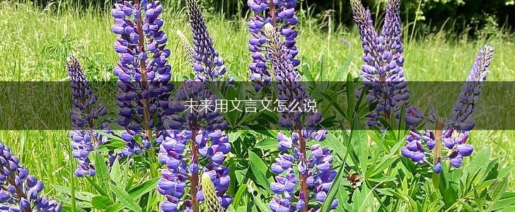 未来用文言文怎么说,第1张