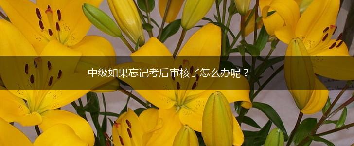 中级如果忘记考后审核了怎么办呢？,第1张