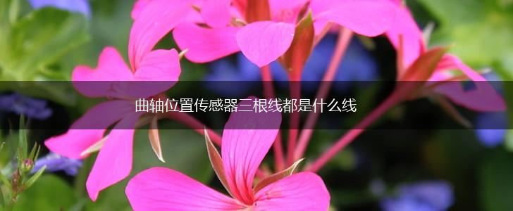 曲轴位置传感器三根线都是什么线,第1张