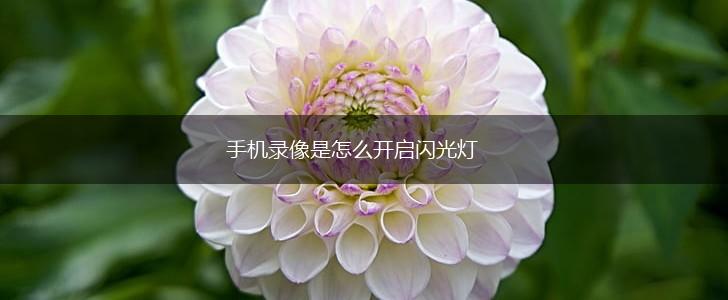 手机录像是怎么开启闪光灯,第1张