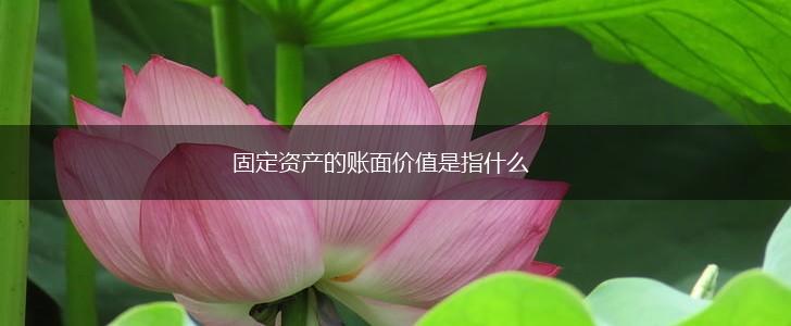 固定资产的账面价值是指什么,第1张