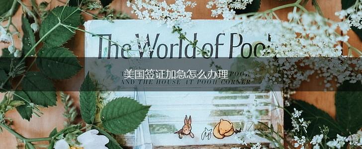 美国签证加急怎么办理,第1张