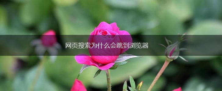 网页搜索为什么会跳到浏览器,第1张