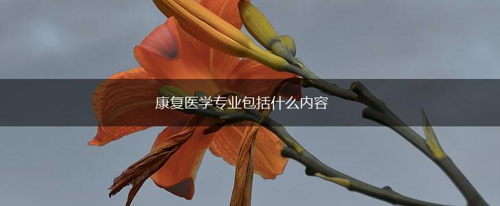 康复医学专业包括什么内容,第1张