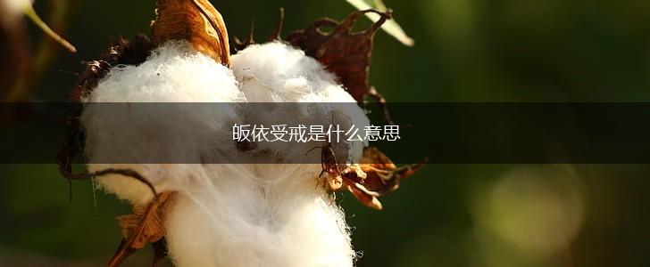 皈依受戒是什么意思,第1张