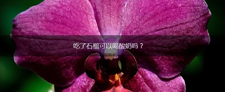吃了石榴可以喝酸奶吗？,第1张