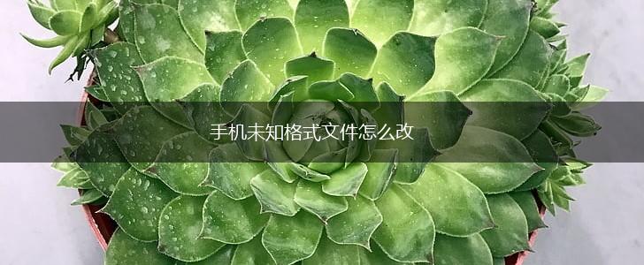 手机未知格式文件怎么改,第1张