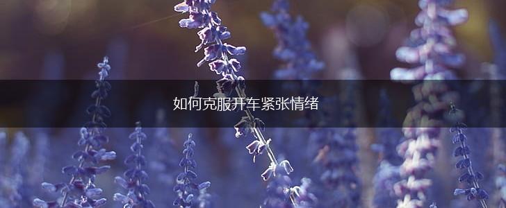 如何克服开车紧张情绪,第1张